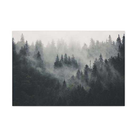 Misty Pine Tree Green Forest Nature Wilderness Photography Canvas Wall Art for H